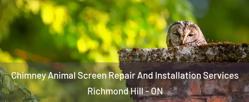  Chimney Animal Screen Repair And Installation Services Richmond Hill - ON