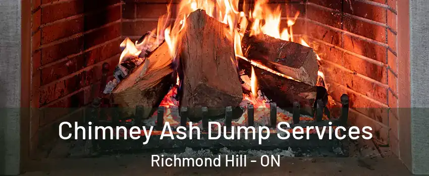  Chimney Ash Dump Services Richmond Hill - ON