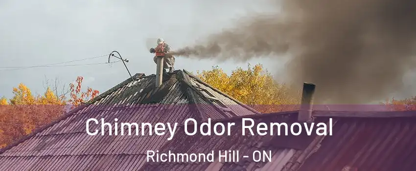  Chimney Odor Removal Richmond Hill - ON