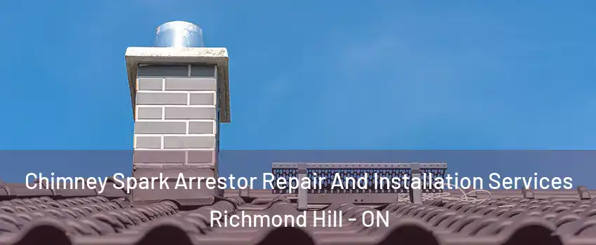  Chimney Spark Arrestor Repair And Installation Services Richmond Hill - ON