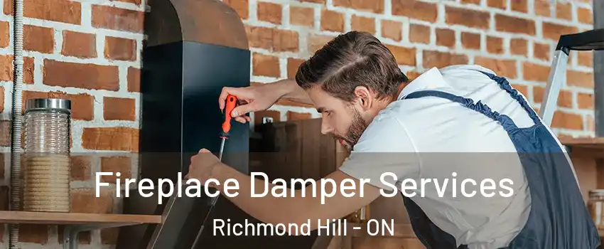  Fireplace Damper Services Richmond Hill - ON
