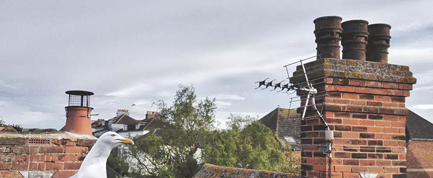 Chimney Cleaning And Restoration in Richmond Hill, Ontario