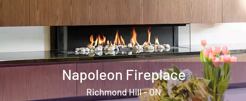  Napoleon Fireplace Richmond Hill - ON